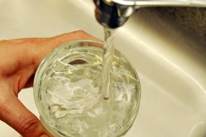 Foto S. Ježina