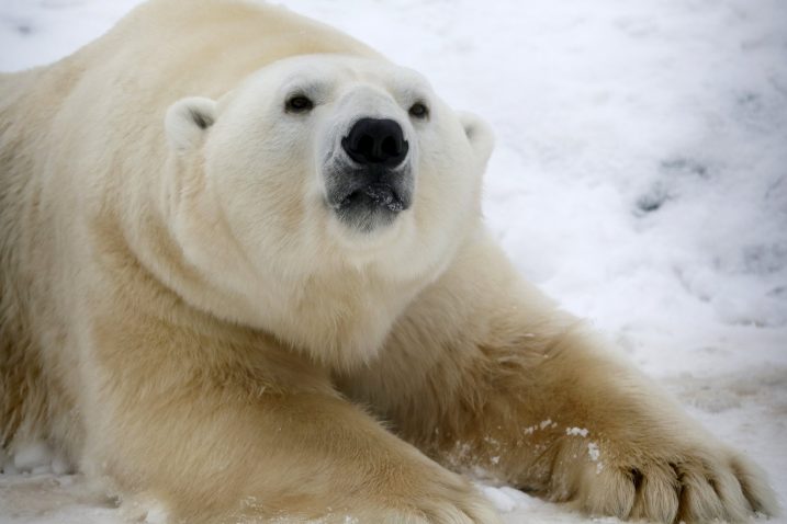 Reuters