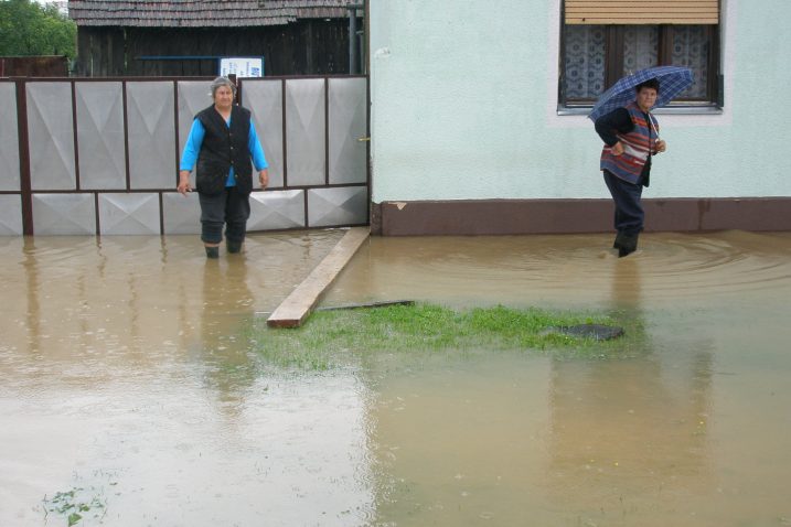 Foto Arhiv NL