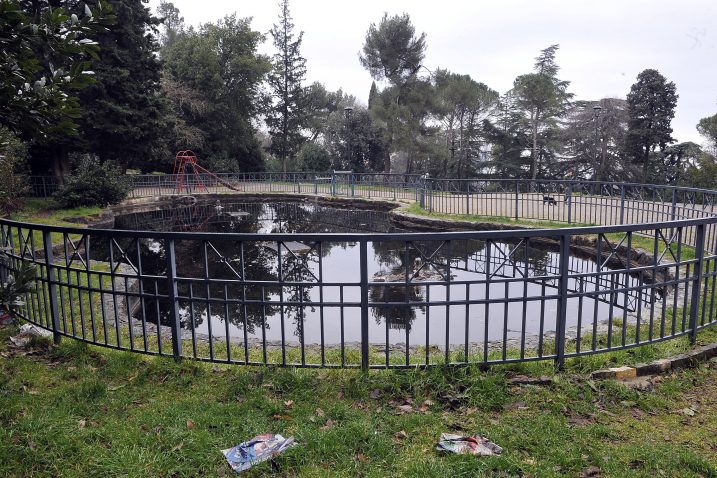 U »jezeru« dom silom prilika pronašle kornjače i ribe/ Snimio Roni BRMALJ