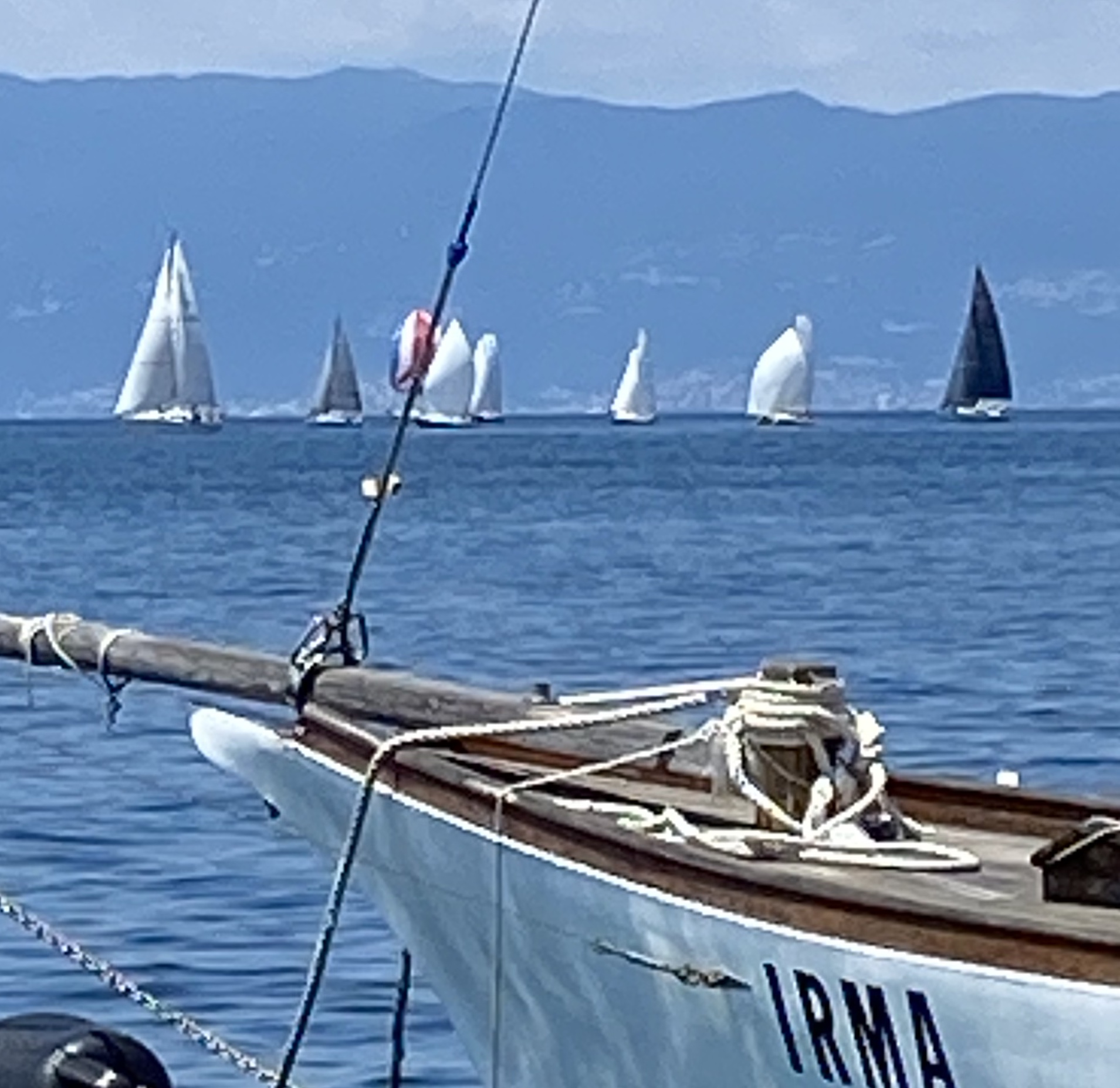 Kraljevačka regata krstaša / Snimio Ivica TOMIĆ