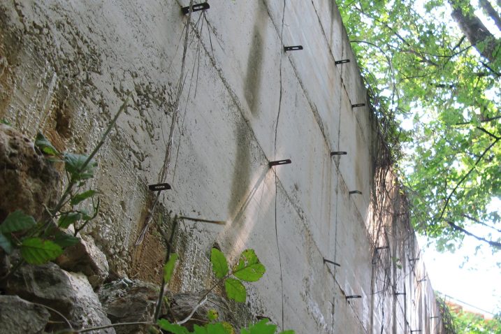 Foto S. Brajčić