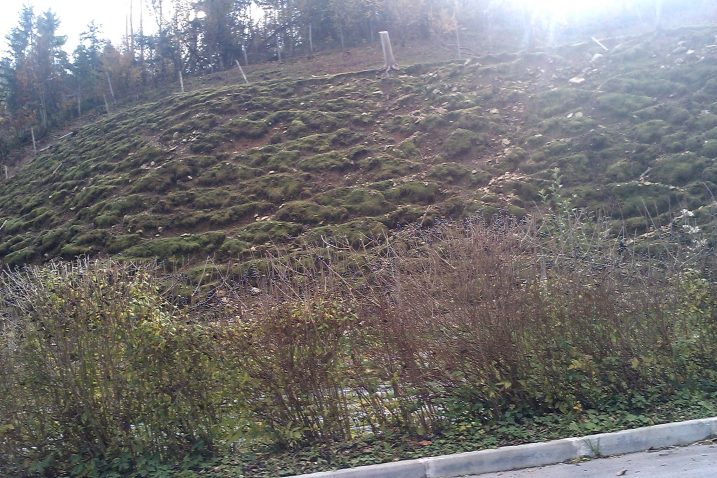 Foto Ž. Malnar