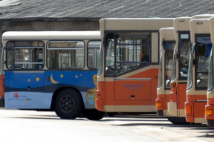 Foto: S. Drechsler