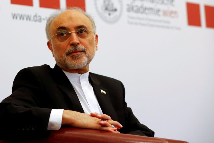 Ali Akbar Salehi / Reuters