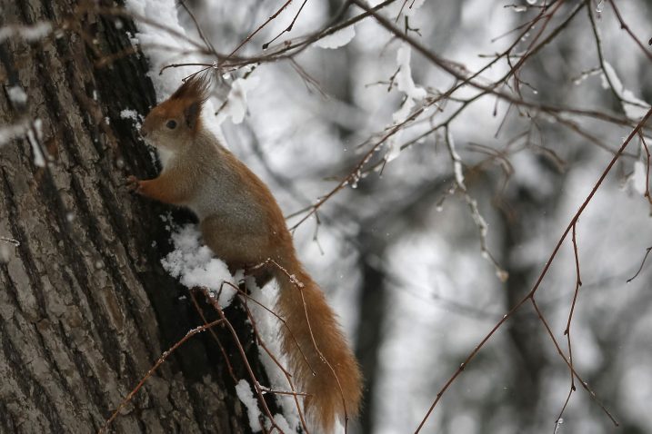 Ilustracija. Foto: REUTERS