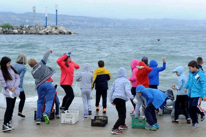 Foto M. Aničić