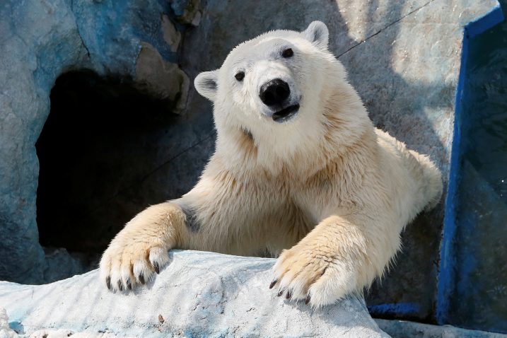 Reuters