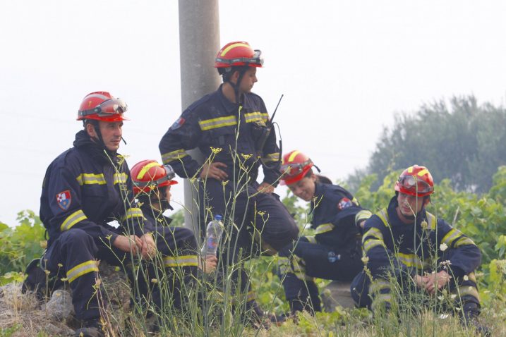 Foto V. Bašić / Cropix