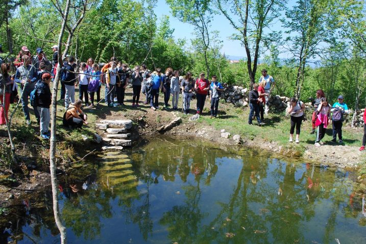 Lokva Živa pored Poljica jedna od revitaliziranih krčkih lokava u sklopu projekta Lokna / snimio M. TRINAJSTIĆ