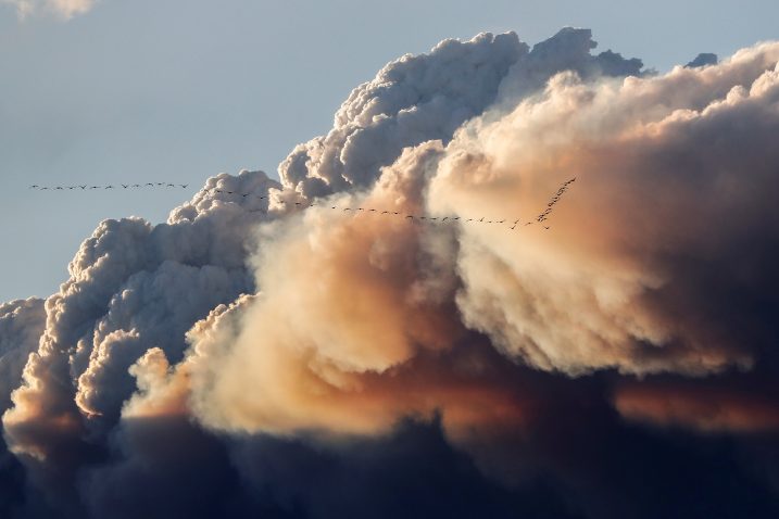 Reuters