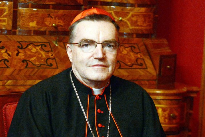 Kardinal Josip Bozanić, Foto: Denis Lovrović