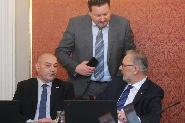 Foto: Darko JELINEK