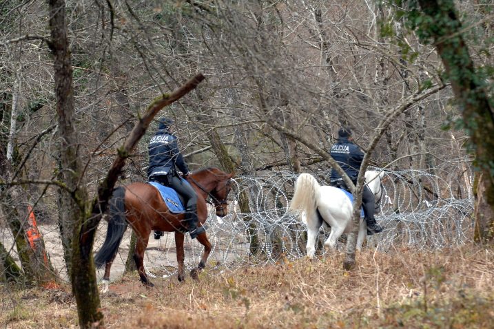 Foto S. Ježina