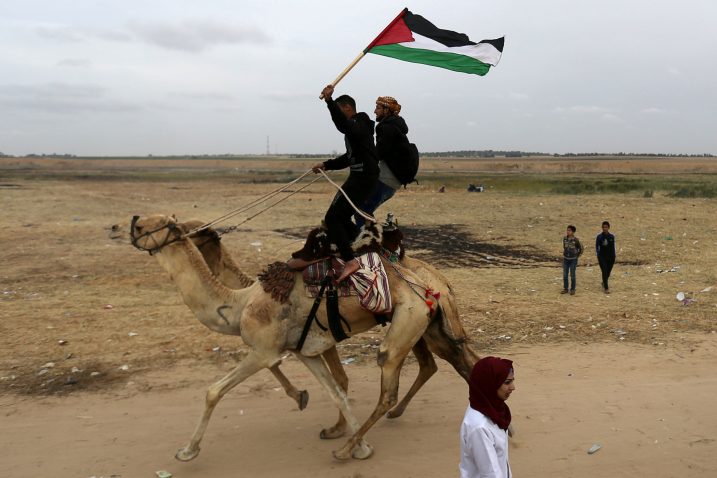 Palestinci u borbi za slobodu /  REUTERS