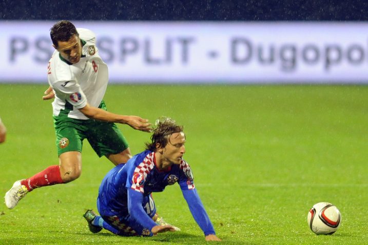 Foto D. Kovačević
