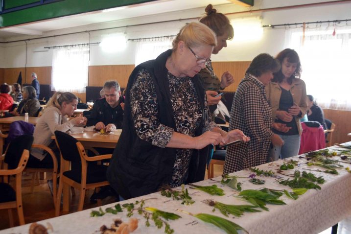 Izložba samoniklog bilja i gljiva za kraj / Snimio Marinko KRMPOTIĆ