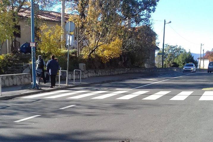 Na fotografijama se vide lešine glodavaca, a neki su već dobro »modificirani i mumificirani«