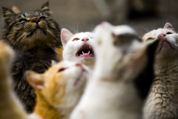 Foto Reuters