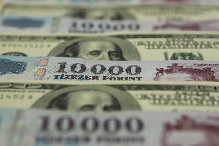U prvom bi krugu, kako su zamislili u vladi, program raspolagao fondom od 100 milijuna forinti (333 tisuće eura)  / Foto Reuters
