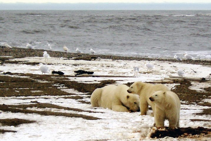 Foto Reuters