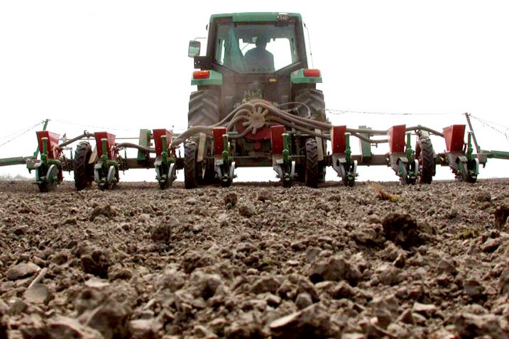 U Hrvatskoj GMO proizvodi zabranjeni / Arhiva NL