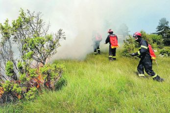 Foto: Sergej Drechsler