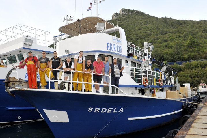 U ovo doba godine, plivaričari love uglavnom inćune, ali ulovi su prilično skromni, daleko od jesenskih ulova srdele, kada se uz zapadnu obalu Istre lovi i po petnaest tona u jednoj noći / Snimio Silvano JEŽINA