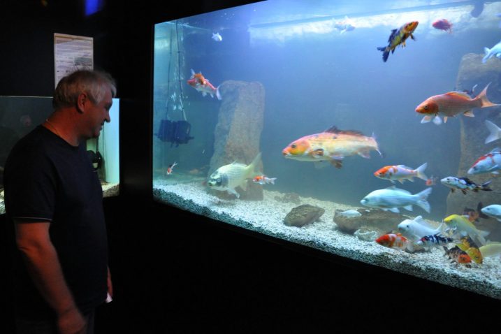 Foto: Mladen Trinajstić