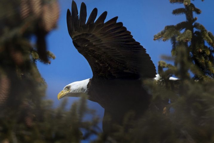 Foto Reuters