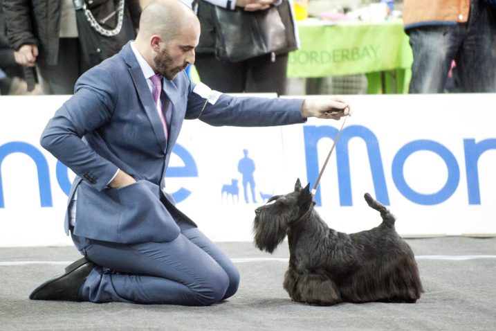 Foto M. Aničić