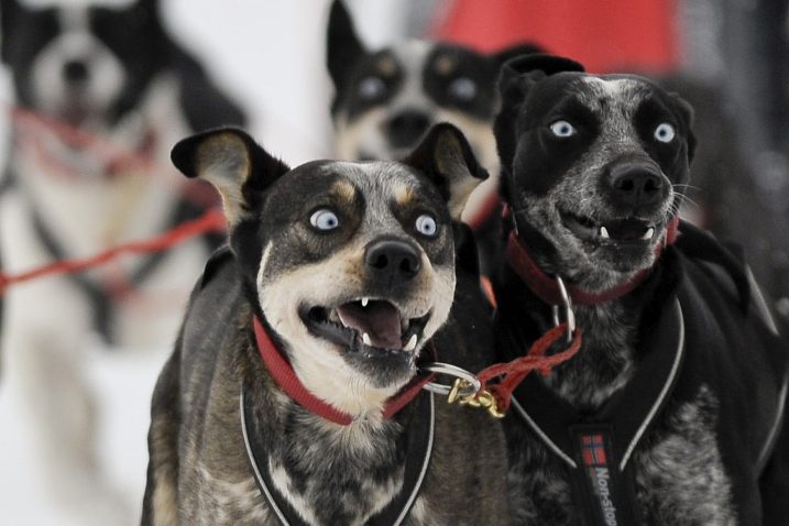 Foto Reuters