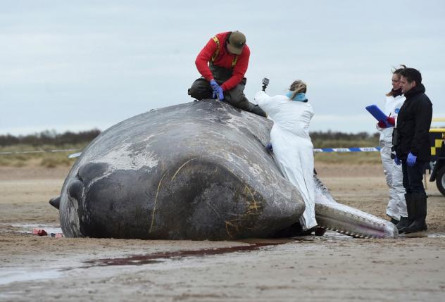 foto: Reuters