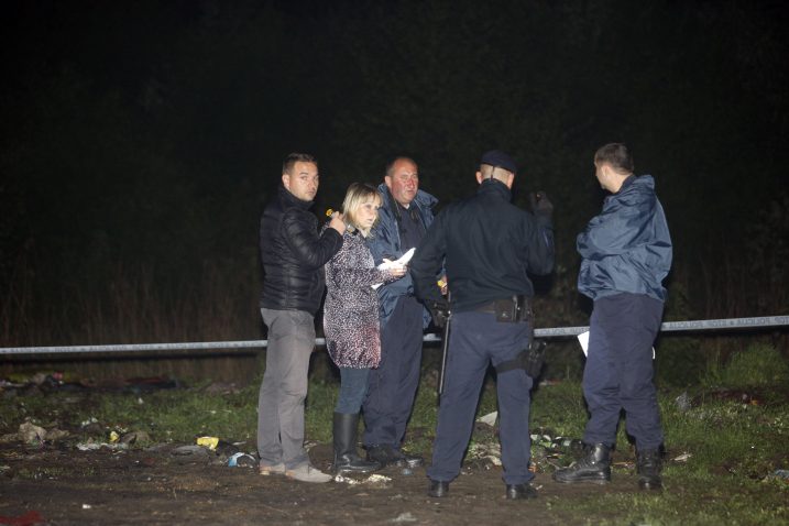 Foto Ž. Hajdinjak / Cropix