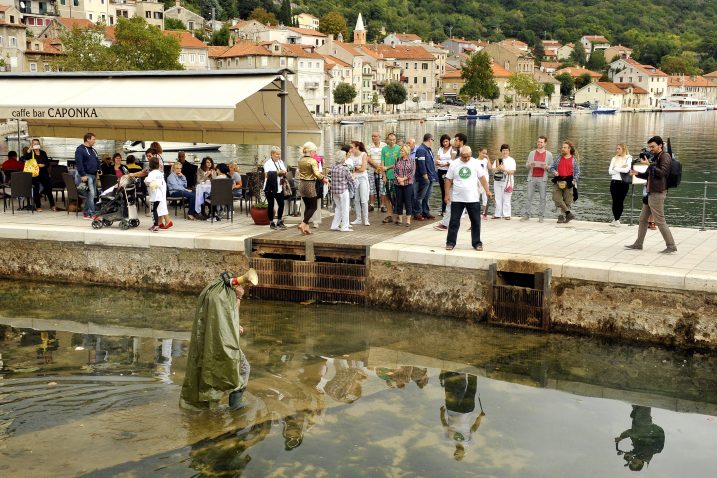 Foto S. Ježina