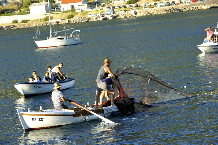 Trebalo je tako težak ulov izvući iz mora / foto Silvano Ježina