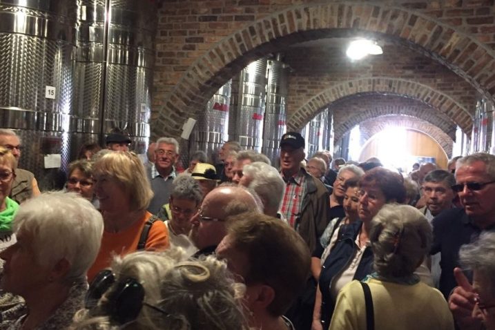Brojni posjetitelji u pavlomirskim podrumima / Foto Anto RAVLIĆ