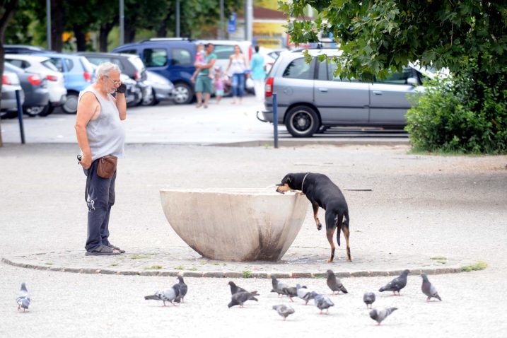 Snimio Vedran KARUZA