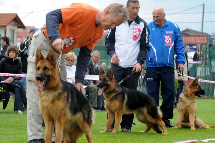 Snimio Marko GRACIN