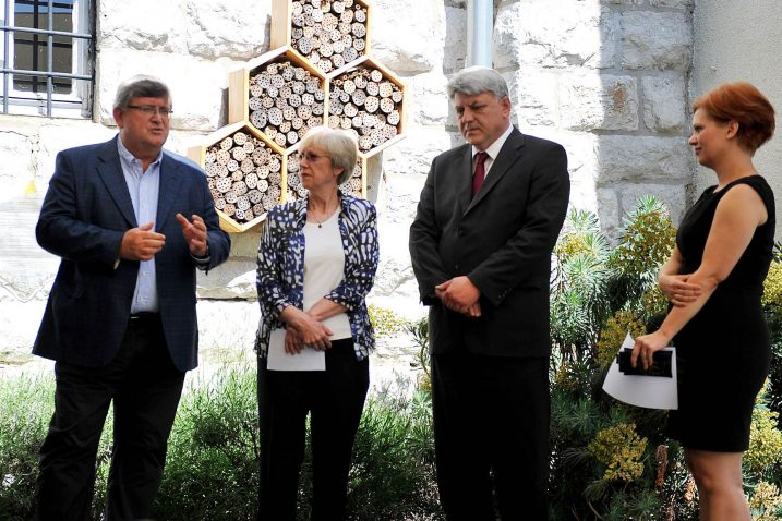 Snimio Ivica TOMIĆ