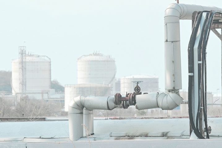 Snimio Silvano JEŽINA / NL arhiva