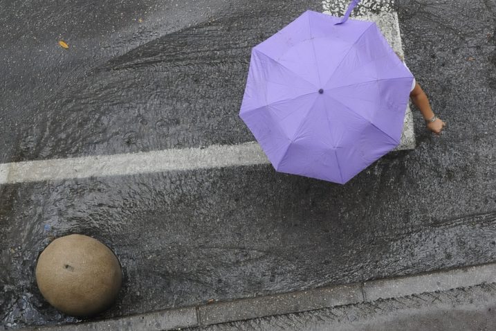Foto M. Aničić