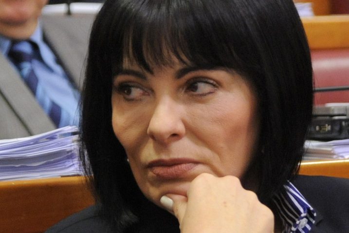 Snimio Darko JELINEK