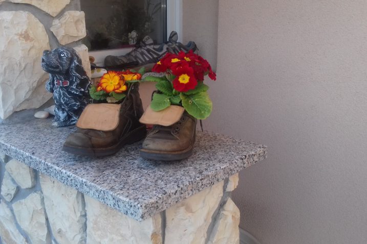 Bajkovito cvijeće u cipelama