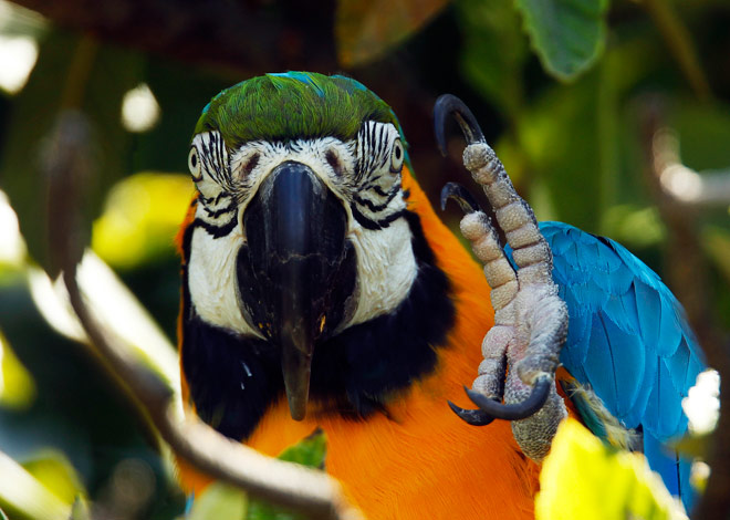 Foto Reuters