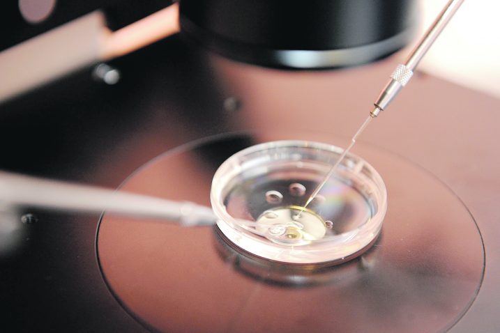 NL arhiva