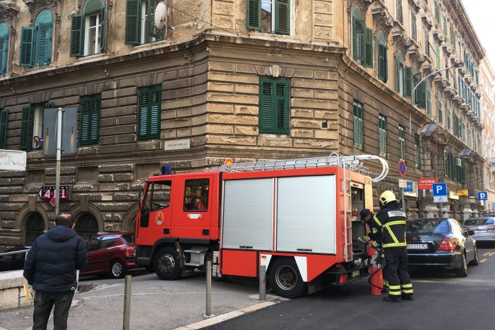 Foto. F: VEŽNAVER
