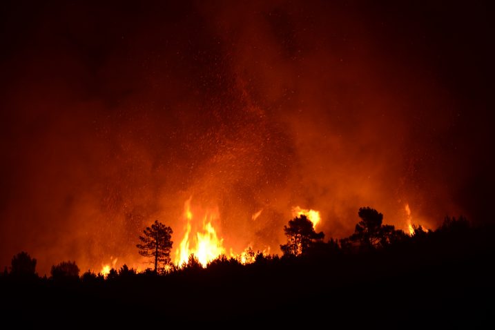 Pelješac / Foto 	Tonci Plazibat / CROPIX