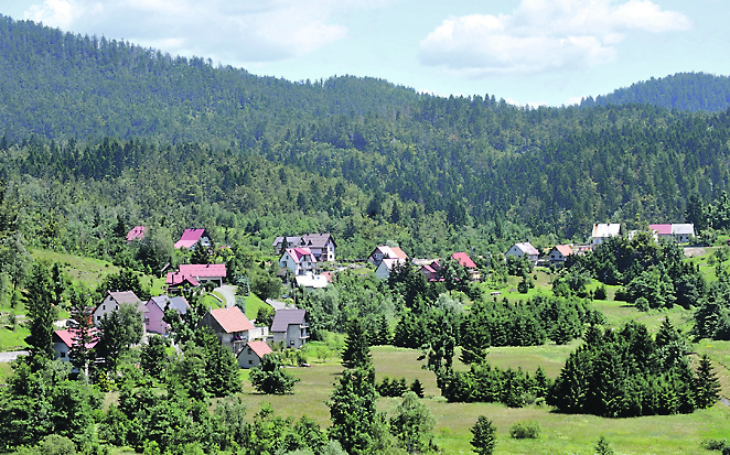 arhiva NL