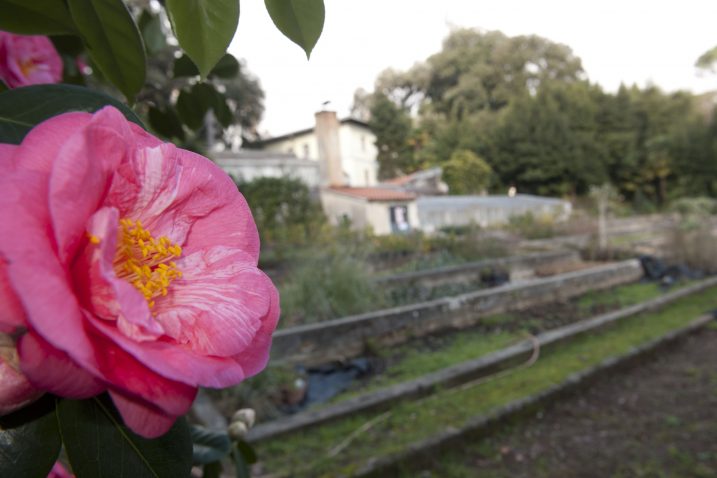 Foto M. Aničić